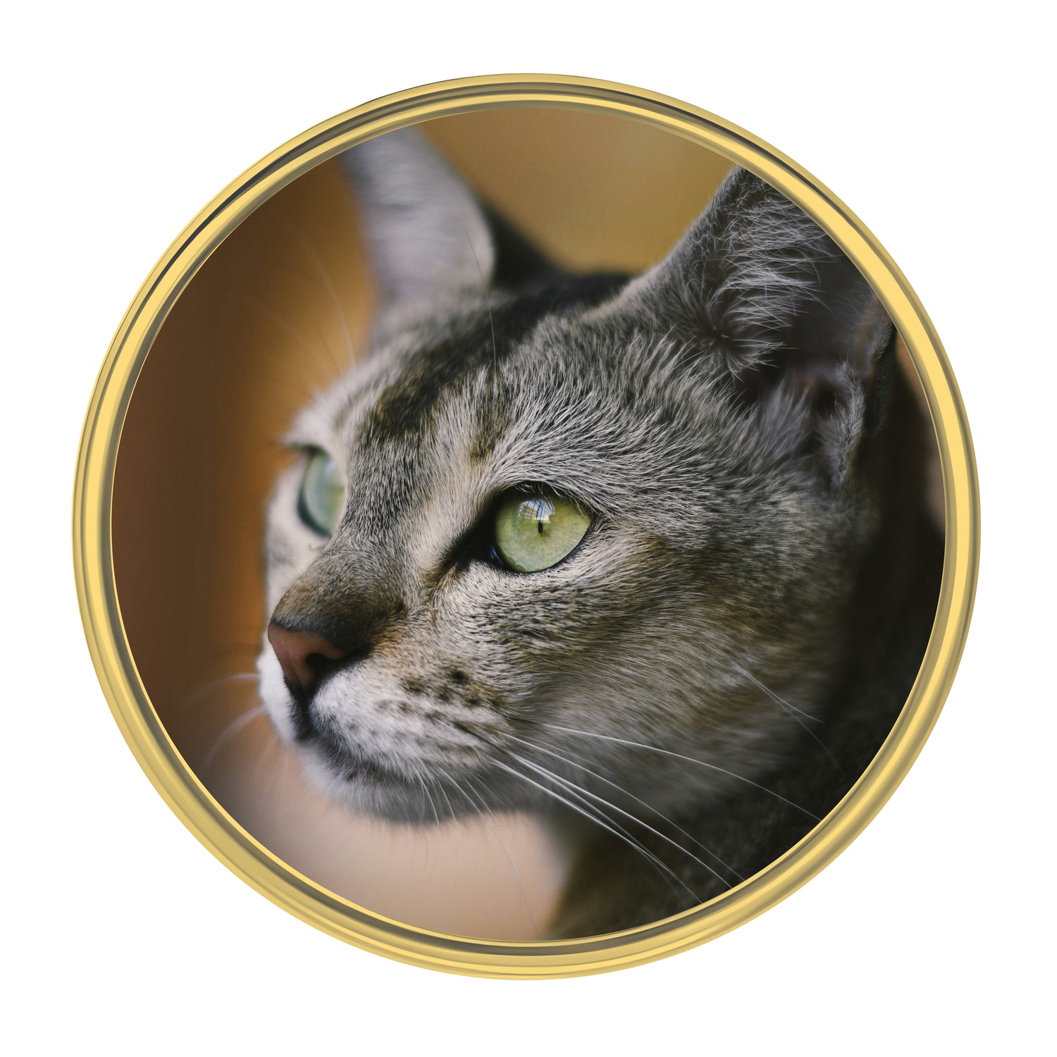 Custom Photo Pin Badge Pin Badge