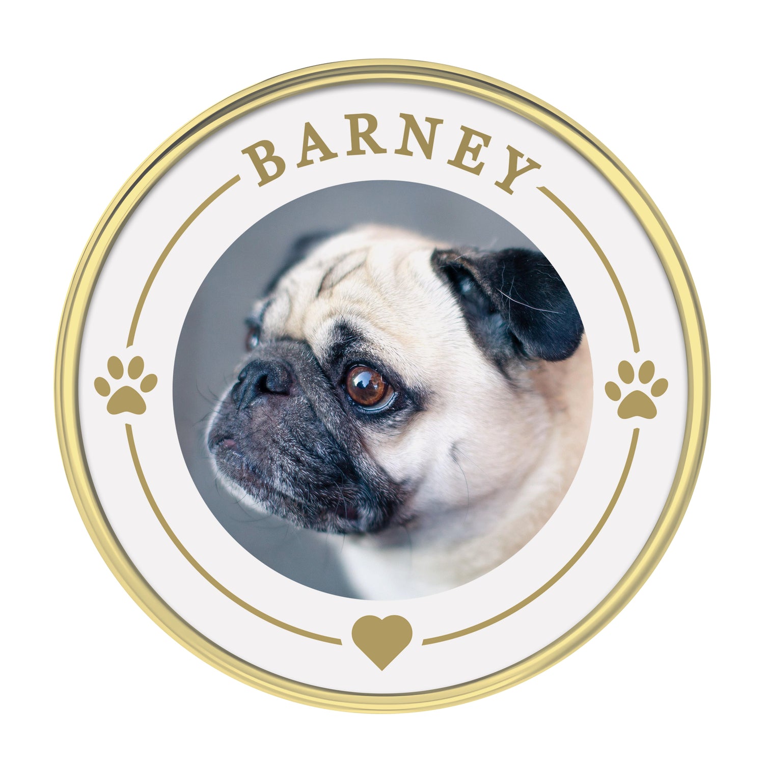 Custom Pet Photo Pin Badge Pin Badge