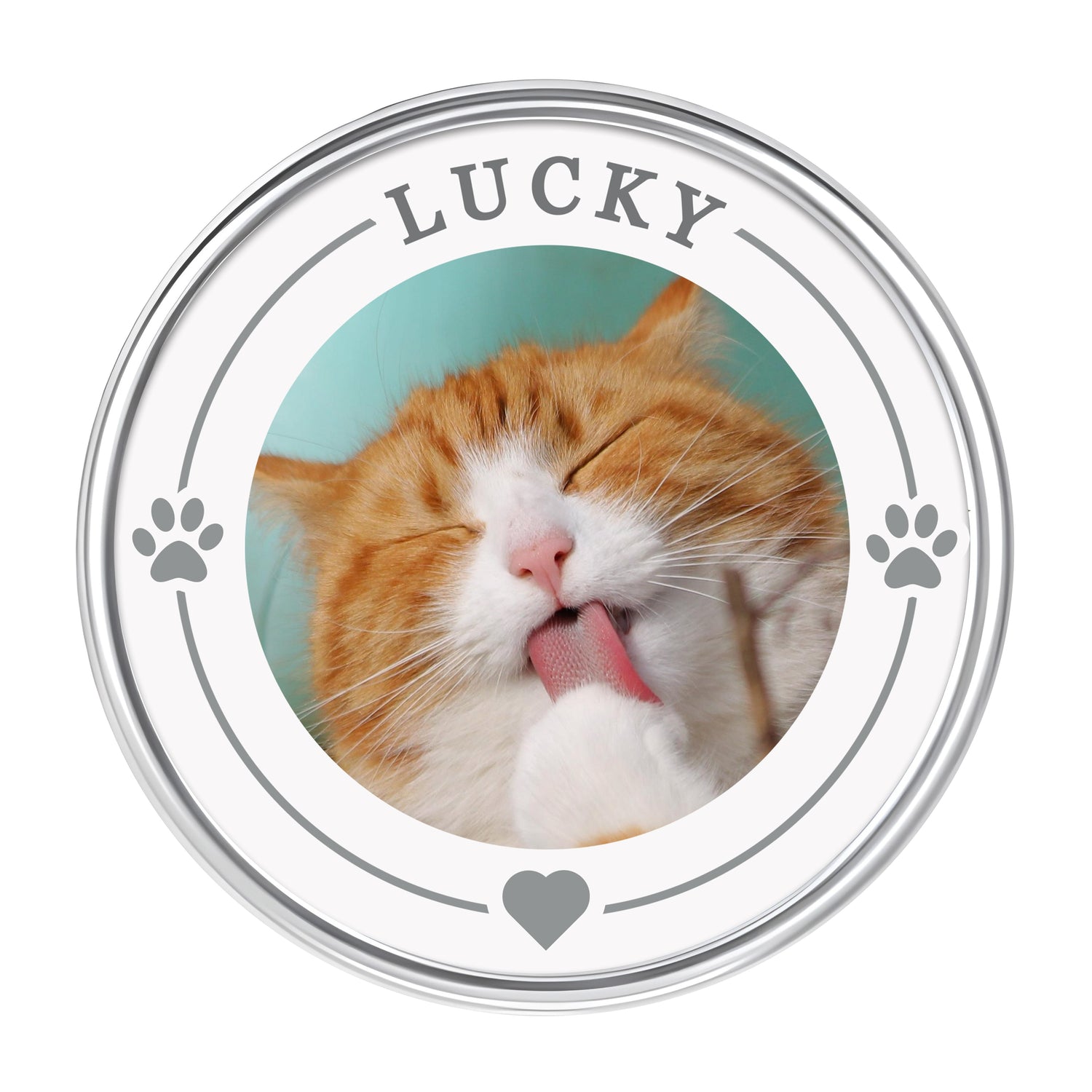 Custom Pet Photo Pin Badge Pin Badge