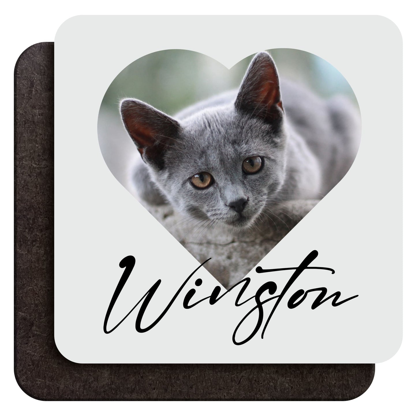 Custom Pet Photo Coaster  Coaster