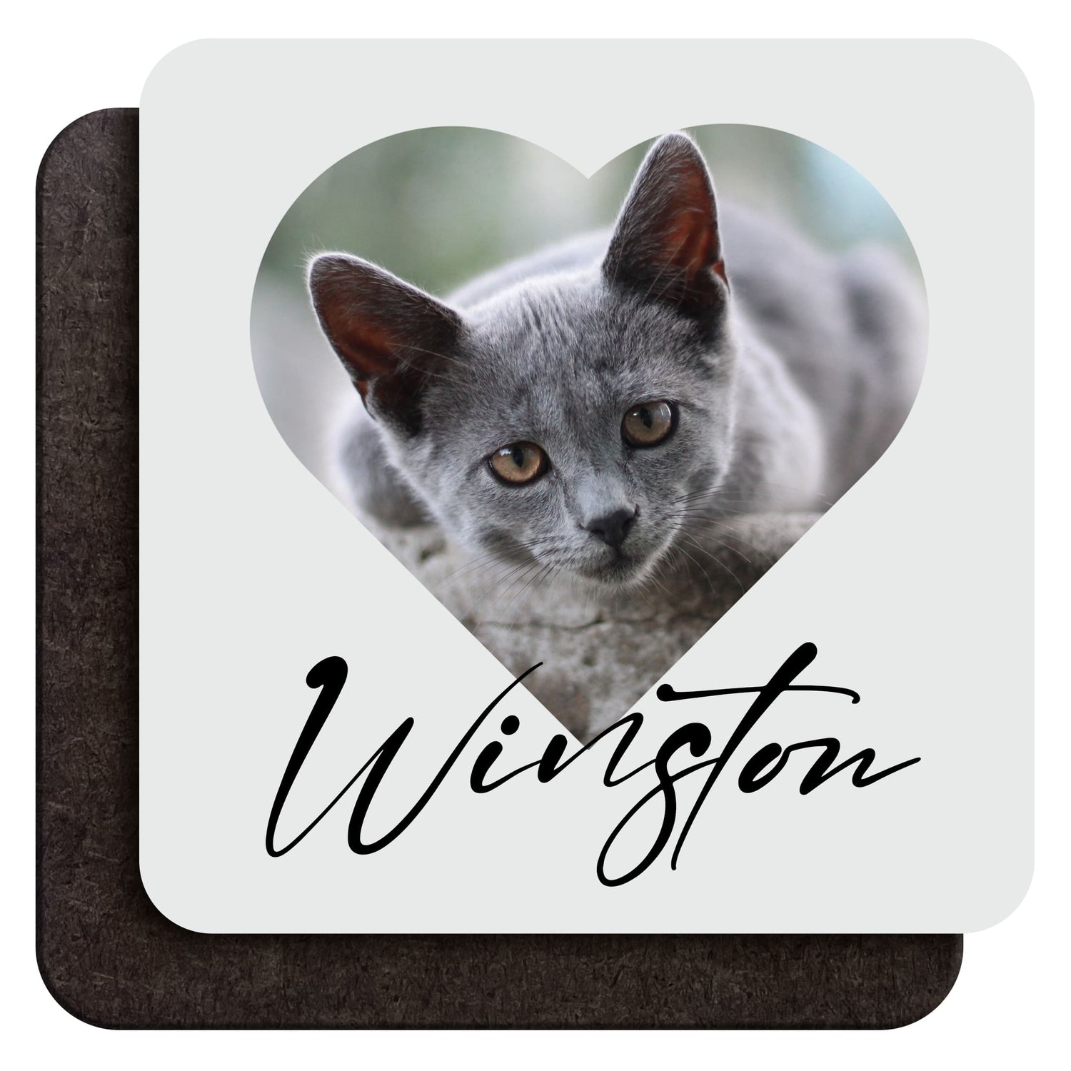 Custom Pet Photo Coaster  Coaster