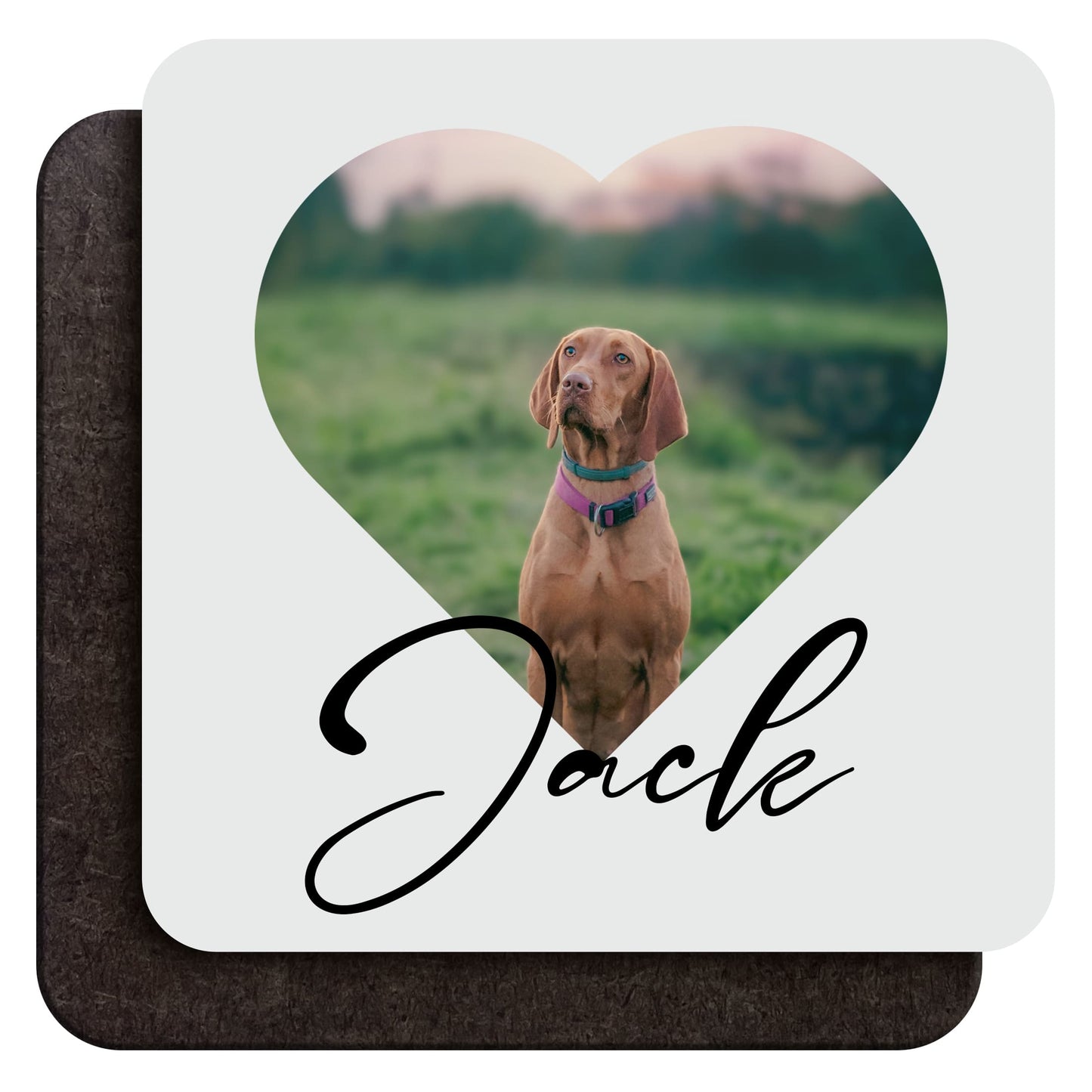 Custom Pet Photo Coaster  Coaster