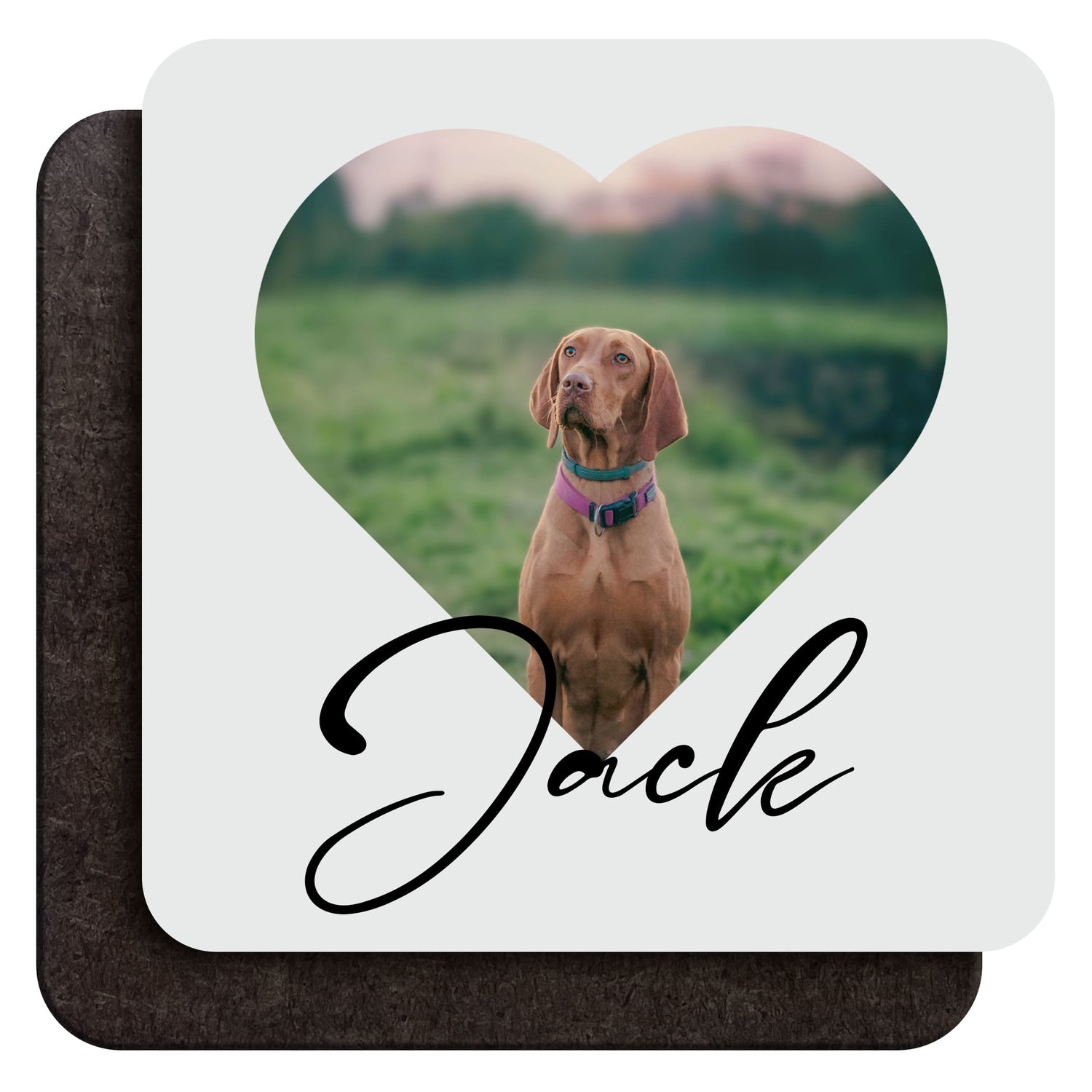 Custom Pet Photo Coaster  Coaster