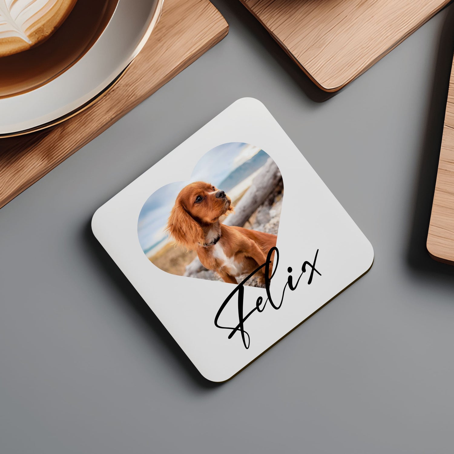 Custom Pet Photo Coaster  Coaster