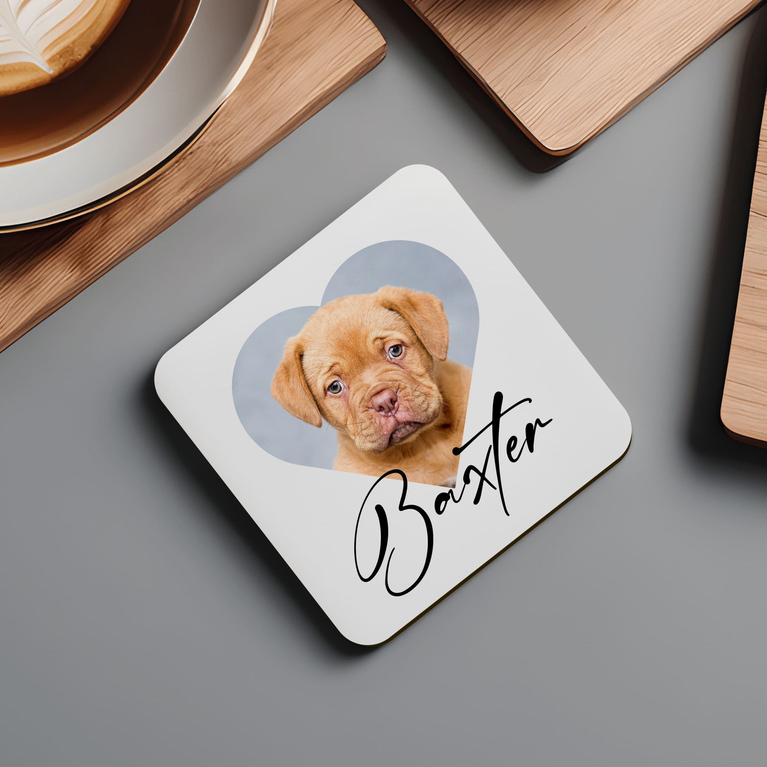 Custom Pet Photo Coaster  Coaster