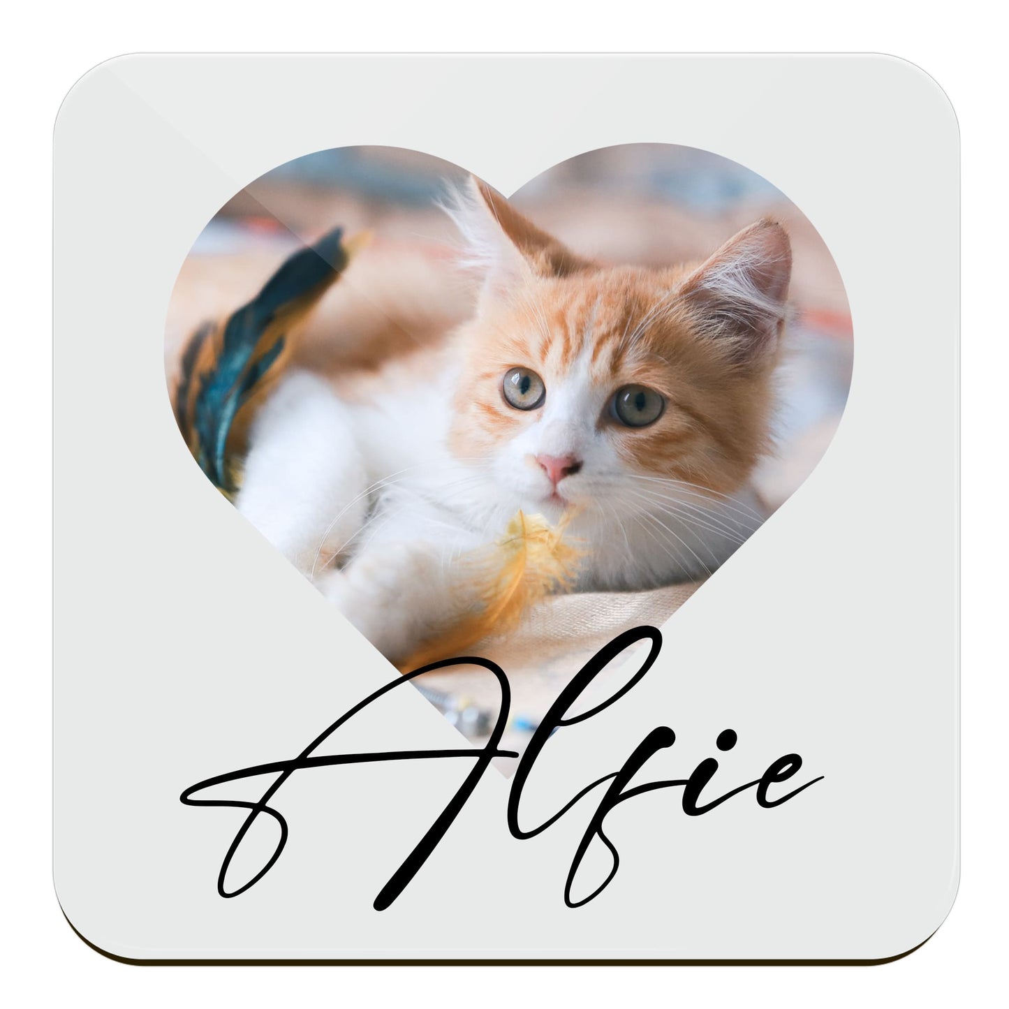 Custom Pet Photo Coaster  Coaster