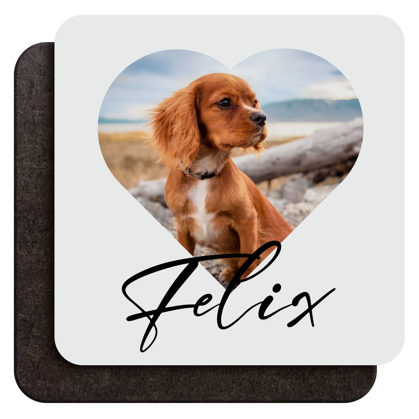 Custom Pet Photo Coaster  Coaster