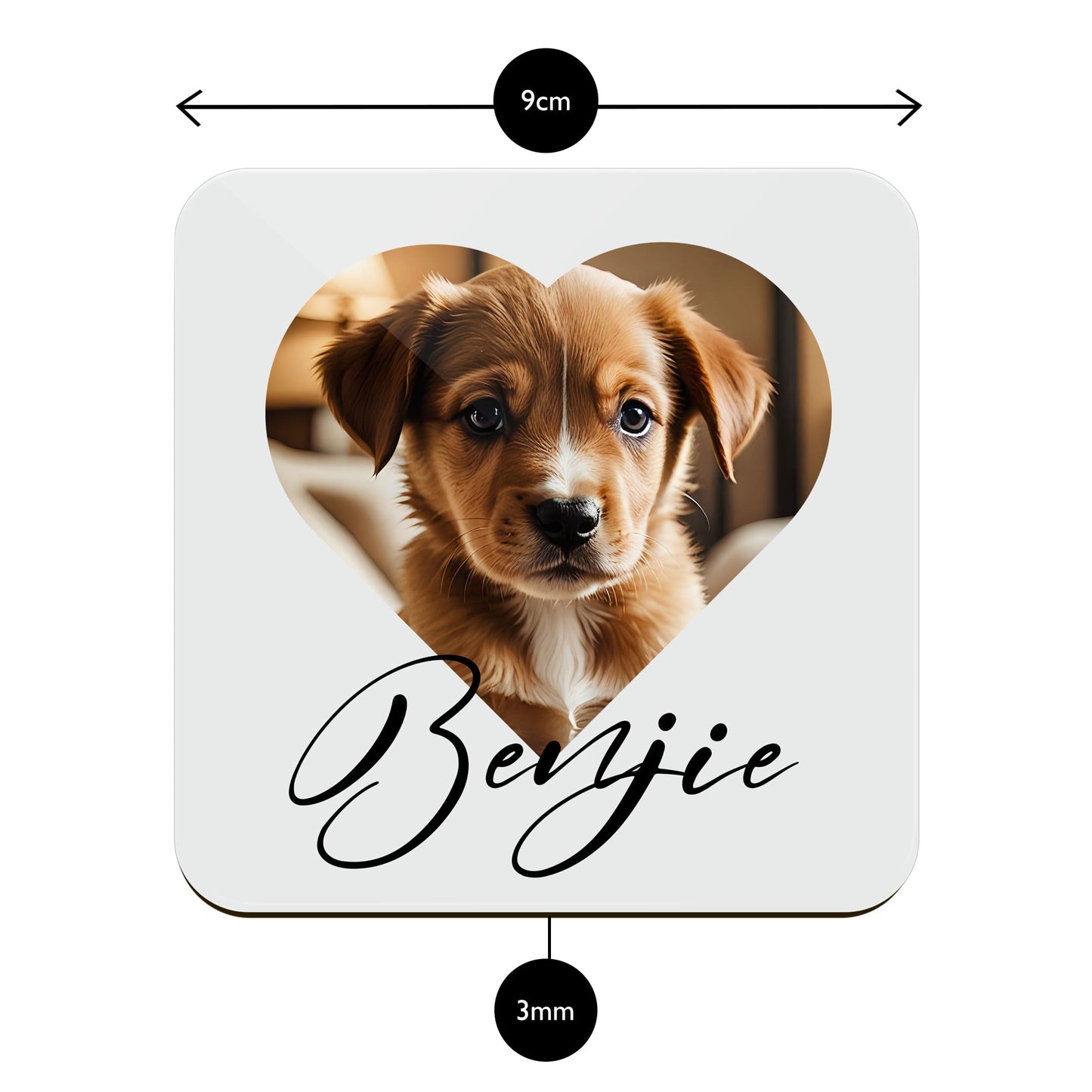 Custom Pet Photo Coaster  Coaster