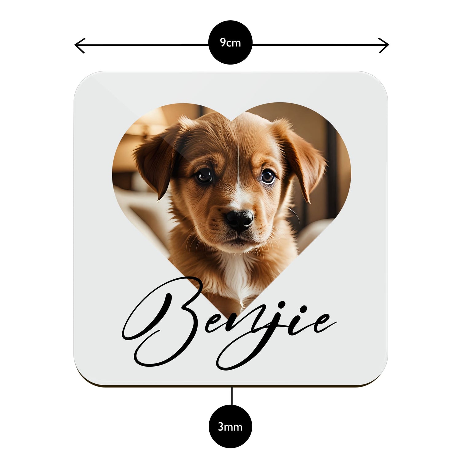 Custom Pet Photo Coaster  Coaster