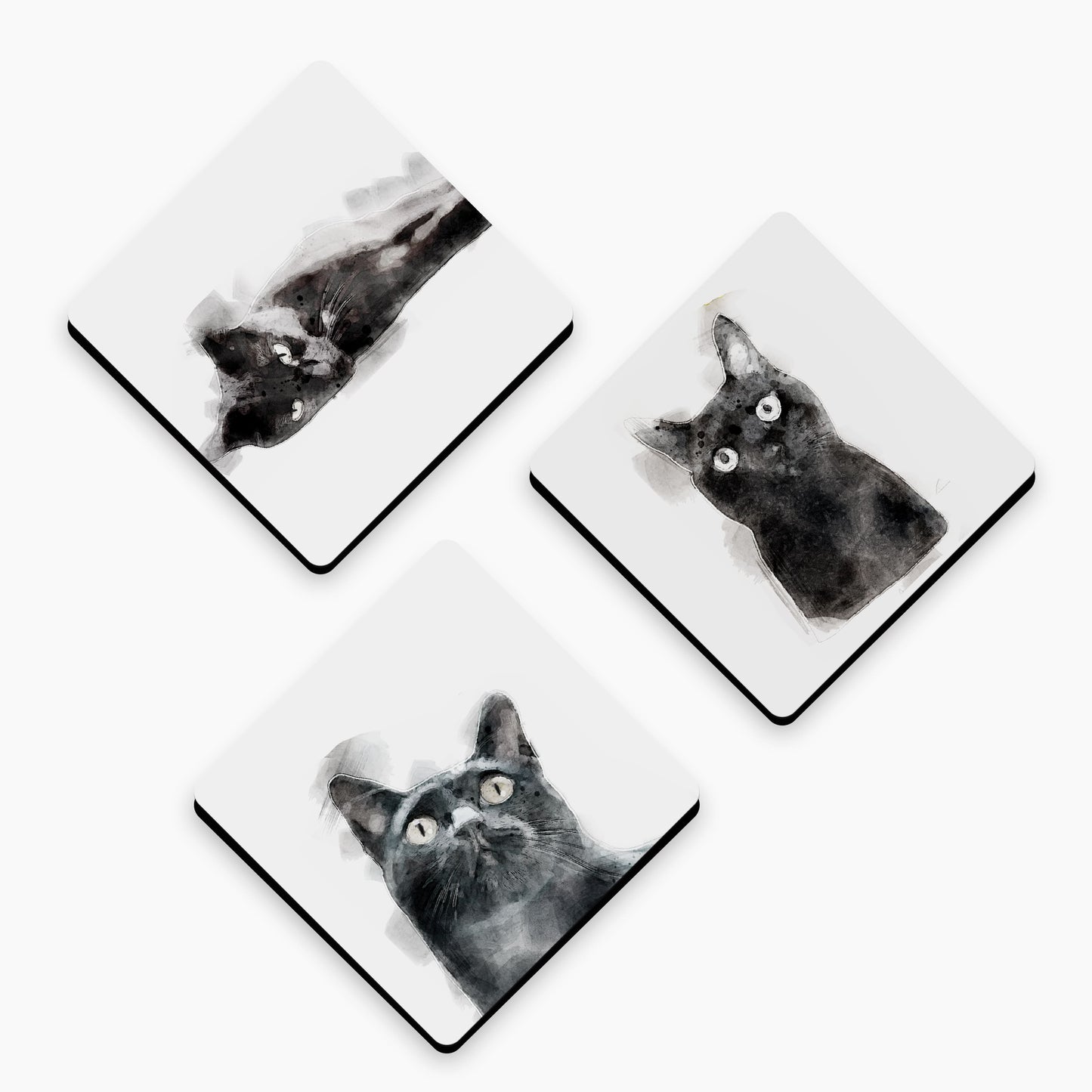 Black Cat Art Fridge Magnet Gift Set  Magnet