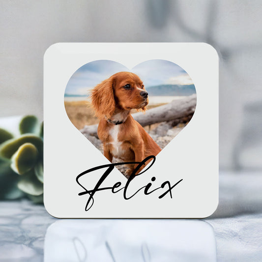 Custom Pet Photo Coaster  Coaster