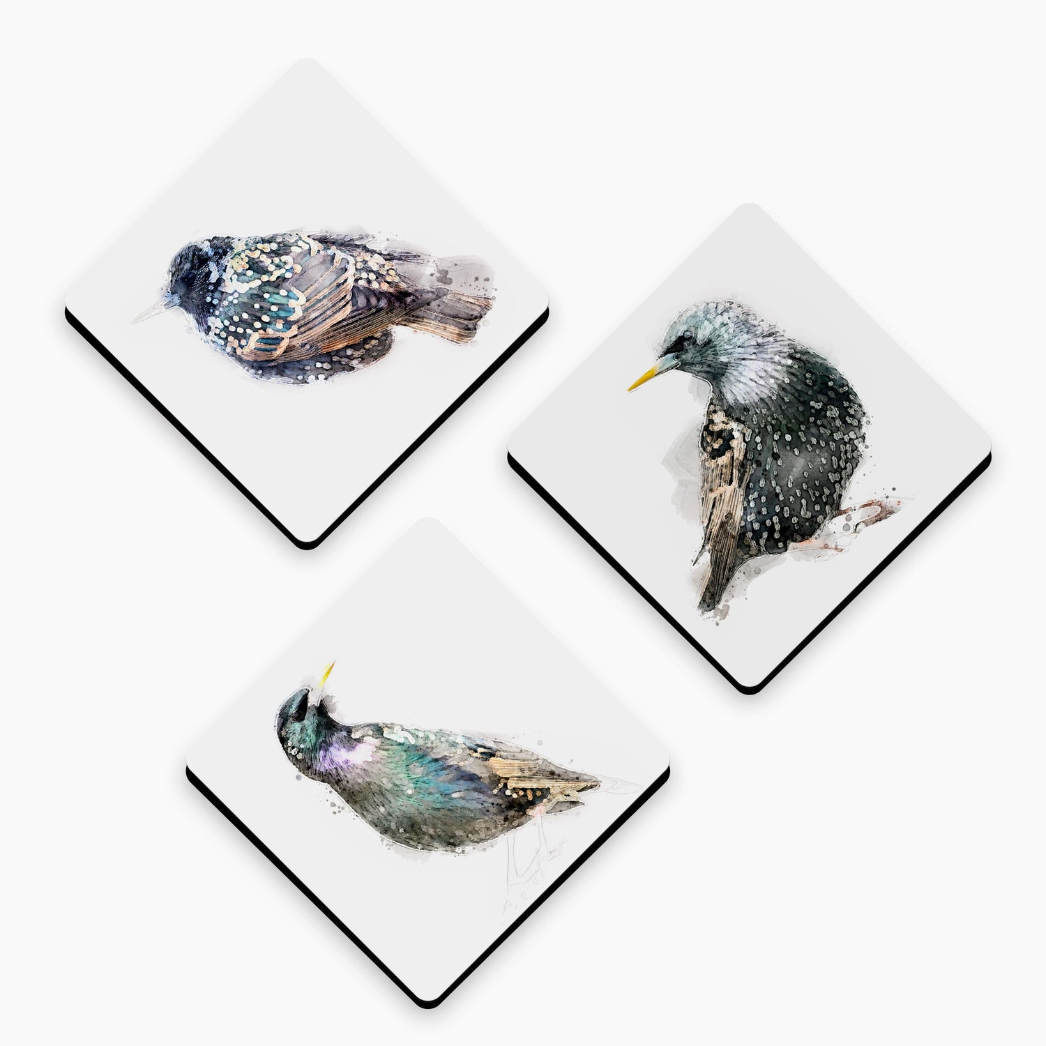 Starling Bird Art Fridge Magnet Gift Set  Magnet