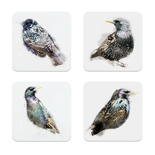 Starling Bird Art Coaster Gift Set  Coaster